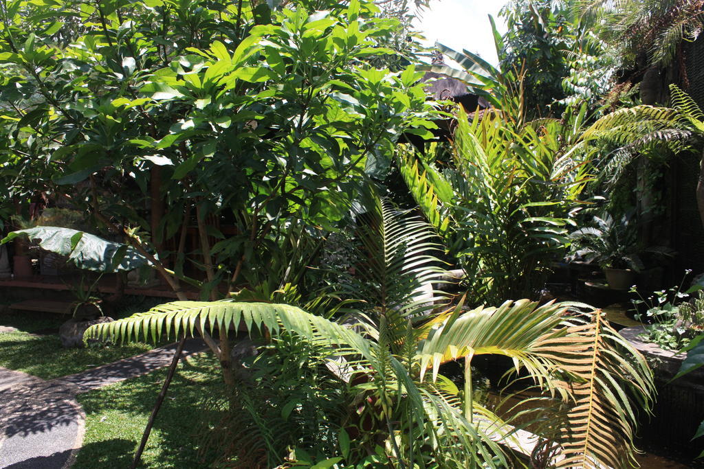Budi Guest House Ubud Exteriör bild
