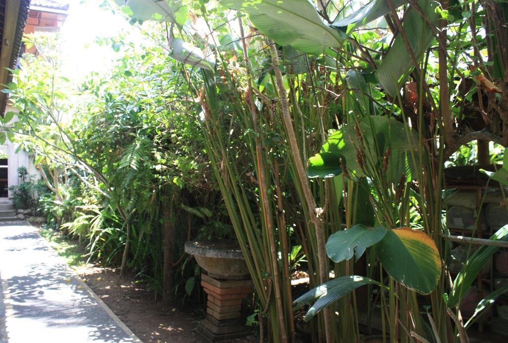 Budi Guest House Ubud Exteriör bild